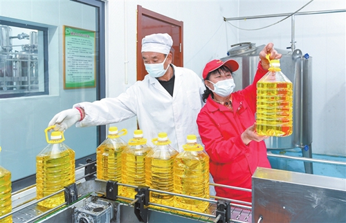 鄉(xiāng)寧縣：為鄉(xiāng)村振興加“油”